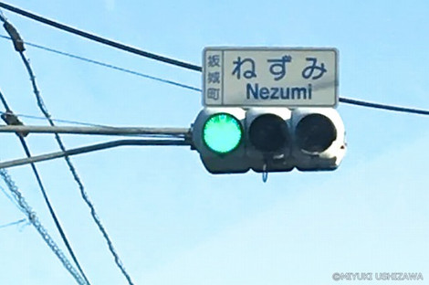 1_3nezumi