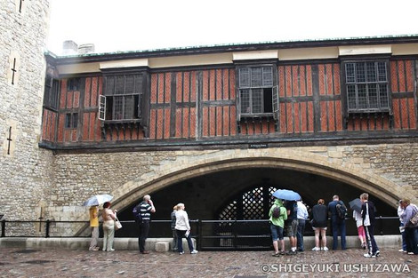 000img_0994