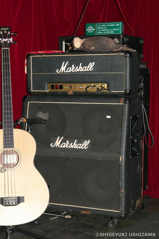 60v