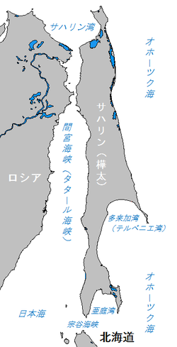 Mamiya