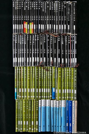 310v
