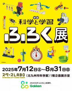 7_kg