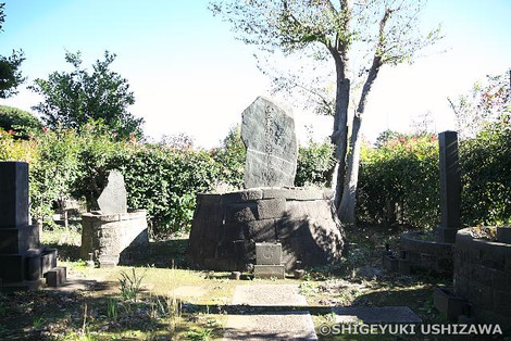 Photo_6