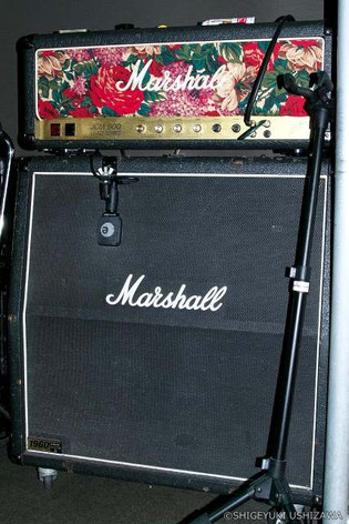 110v
